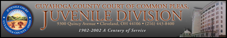 Deputy Director of Standards Compliance Cuyahoga County Juvenile Court